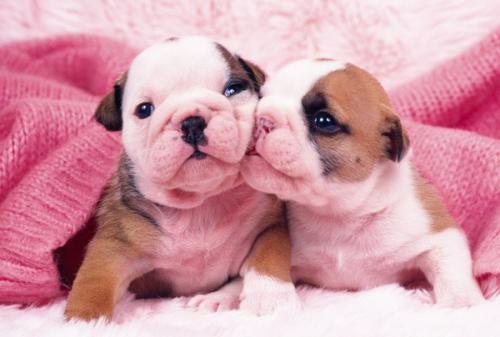 ƺӷⶳٶȼӿ쳤ȴﵽ631.3 ǧ׷