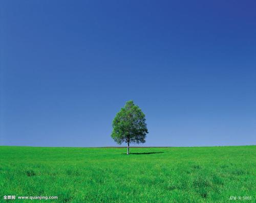 ӡȶس̨ʩϿף ǿء