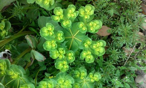 ͶÈ룡¹ú¼Ò10Äê1600ÒÚÔªÍÆ¶¯Î÷²ØÌáÉý°ìѧÌõ¼þ