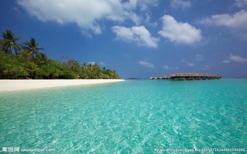 ȫȷ79232555 ֱ¹ڲȾ