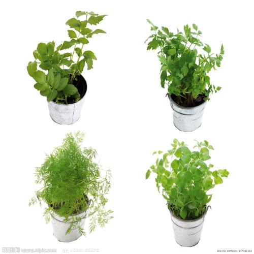 ÌìÆøÔ¤±¨Ô±ÕâÑùÁ¶³É:¼ûʶ¸÷ÖÖÌìÆø ¾Àú·ç˪ÓêÑ©