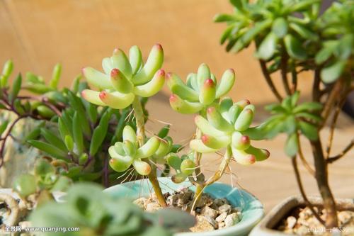 Èý²¿ÃÅͳһÐÅÅû¹æÔò ÍÆ½øÕ®È¯Êг¡»¥Áª»¥Í¨