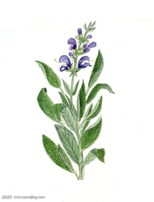 һ980!֣ݾһСթƭŻ