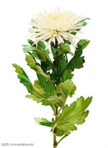 ±±¾©30ÈÕÐÂÔö2ÀýÈ·ÕïÏêÇé ˳ÒåÒ»´åׯÉýΪÖзçÏÕ