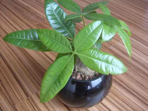 ¹ìµÀÉϵIJýƽ¢ÙØ17ºÅÏß¼ÓËÙ¼¤»îδÀ´¿ÆÑ§³Ç´´Ð»îÁ¦