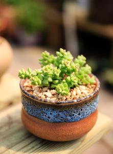 ÑëÐÐÒø±£¼à»á·¢ÎĽ¨Á¢·¿µØ²ú´û¿î¼¯ÖжȹÜÀíÖÆ¶È