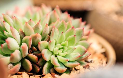 央行:稳健的货币政策要灵活精准、合理适度