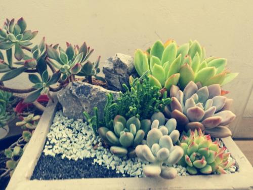 »¹ÓÐ6¸öÔ£¬¸ß¿¼Éú¸ÃÈçºÎÓսи߿¼£¿½¨ÒéÀ´ÁË