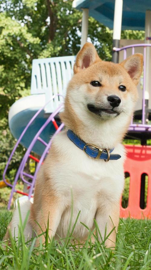 ܹģ2000ԪйҵĻ仧Ϻ