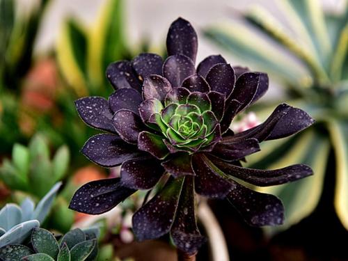 ǰ11Ô¹¤ÒµÆóҵʵÏÖÀûÈó57445ÒÚÔª ͬ±ÈÔö³¤2.4%